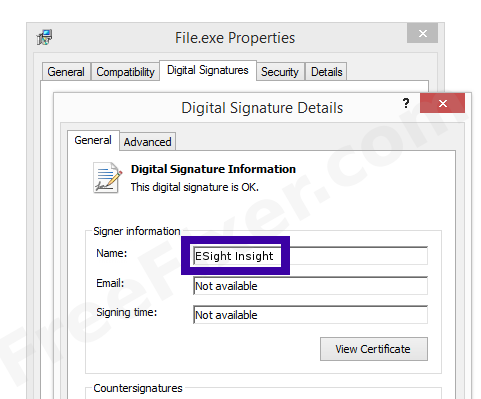 Screenshot of the ESight Insight certificate